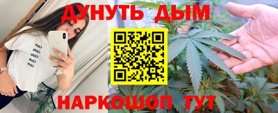 a pvp Славгород