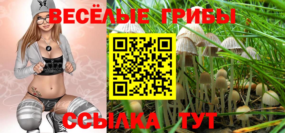Псилоцибиновые грибы Psilocybe Нерюнгри