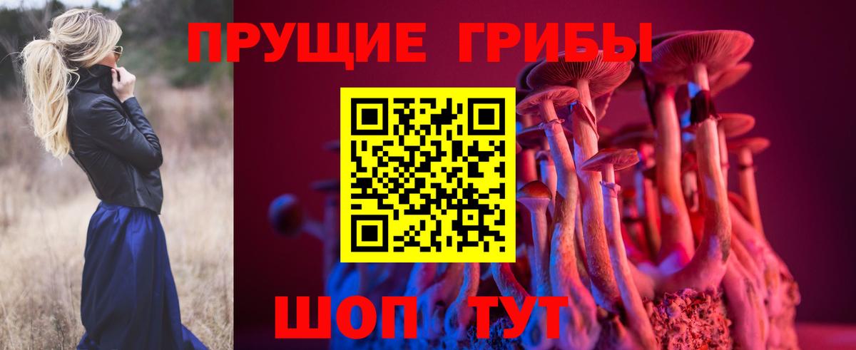 Псилоцибиновые грибы GOLDEN TEACHER  Вход с VPN  Нерюнгри 