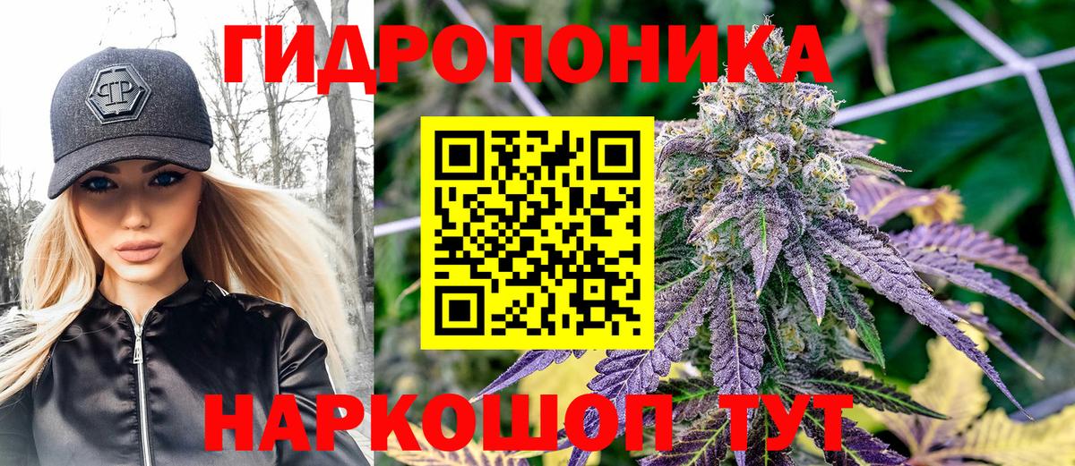 Шишки марихуана Amnesia Нерюнгри